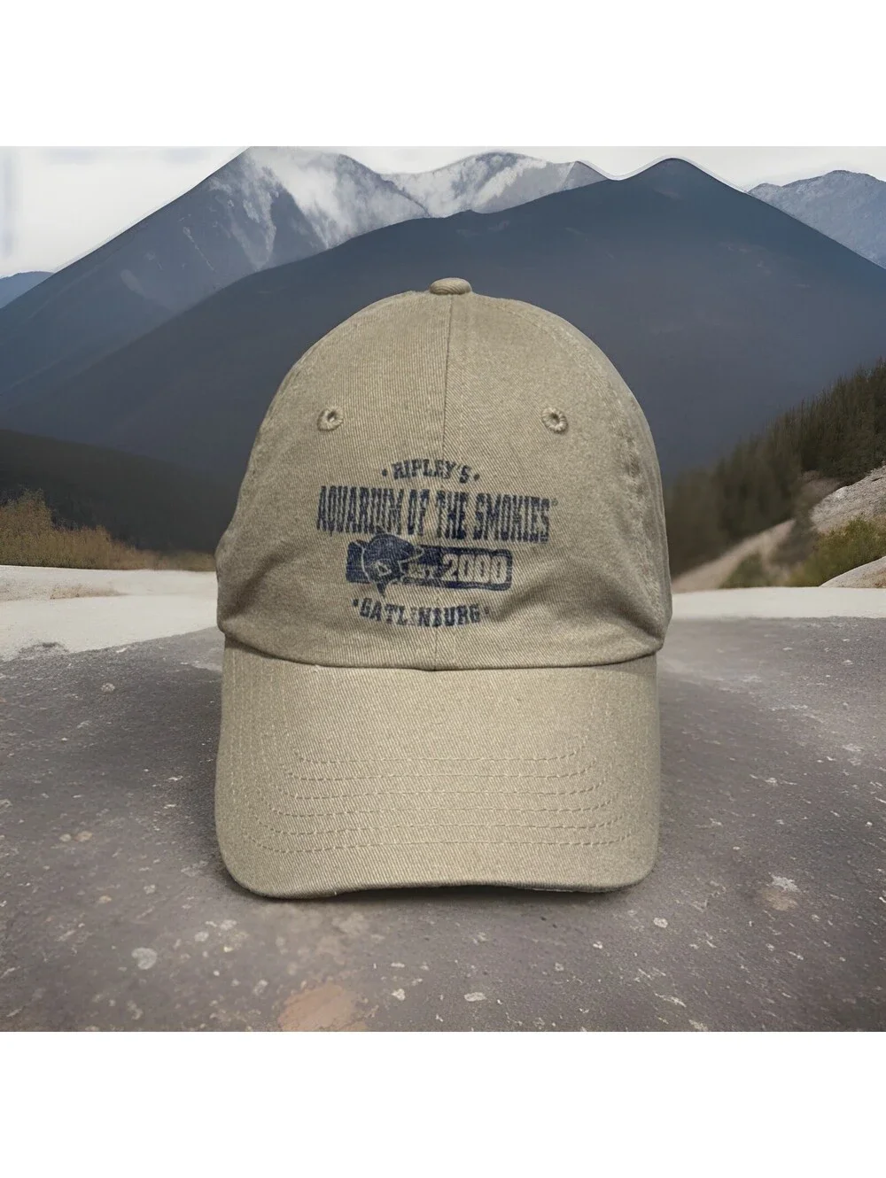 Gatlinburg Tennessee Aquarium Of The Smokies Ripley’s White Shark Baseball Cap